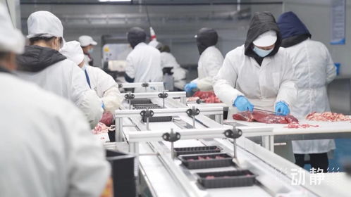 牛肉市場波動(dòng)下，安順肉牛產(chǎn)業(yè)與餐飲服務(wù)的穩(wěn)健發(fā)展之道